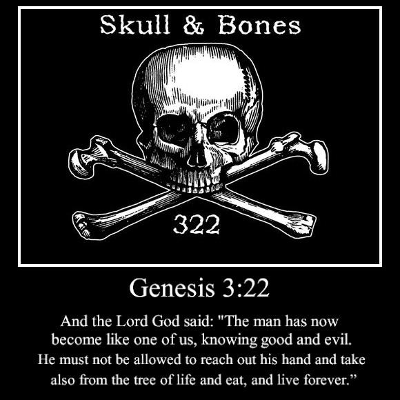 skull and bones number